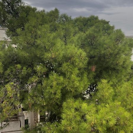 Zack'S Piccolo Comfort Atenas Exterior foto